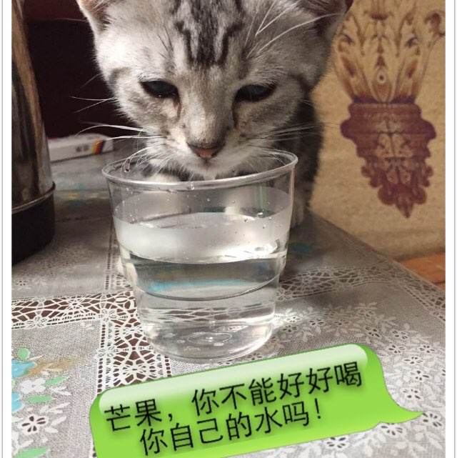 东部理工学院文凭毕业证样本照片